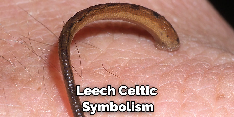 Leech Celtic Symbolism