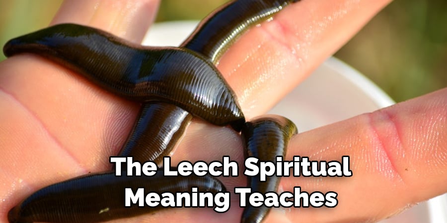 The Leech Spiritual  Meaning Teaches 