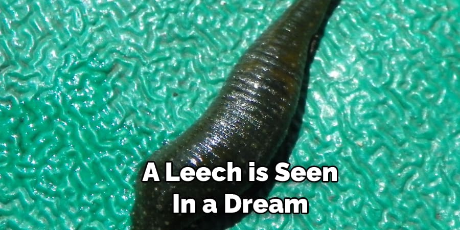 A Leech is Seen In a Dream