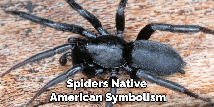 Spiders Native  American Symbolism