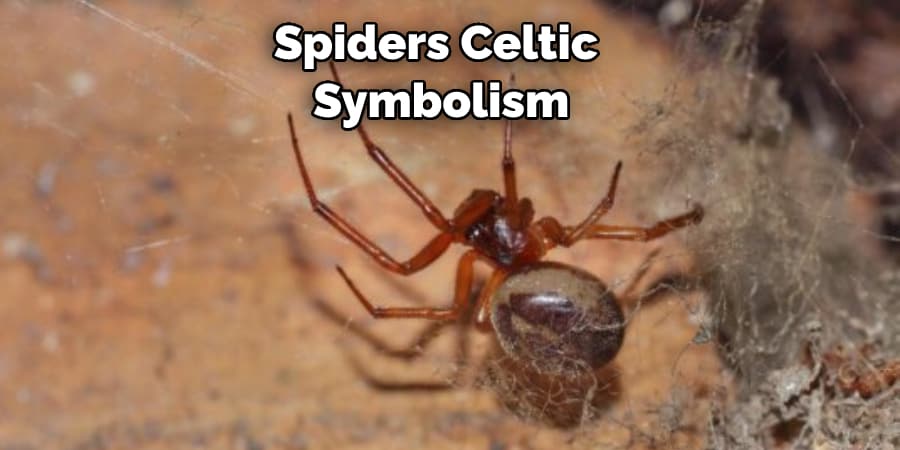 Spiders Celtic  Symbolism