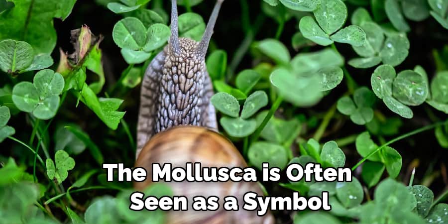 The Mollusca is Often  Seen as a Symbol