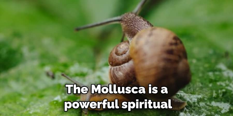 The Mollusca is a  powerful spiritual