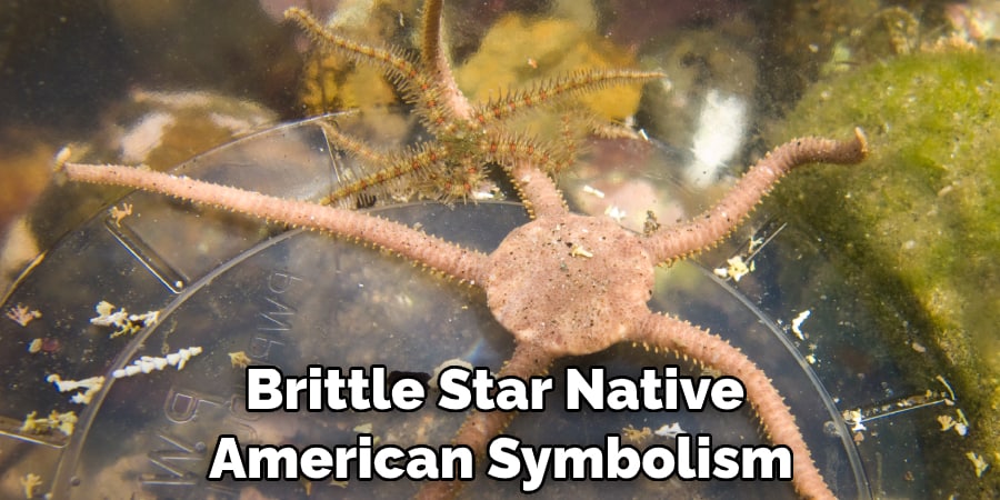 Brittle Star Native  American Symbolism