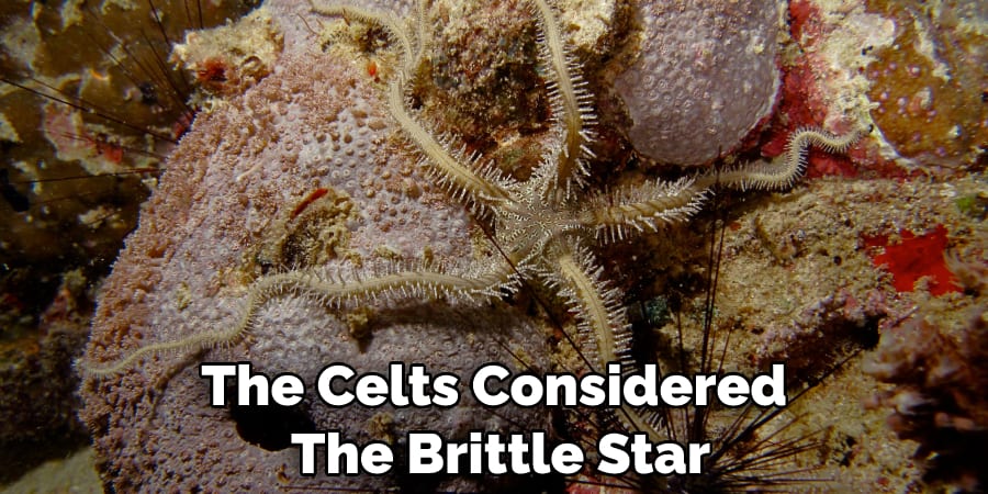The Celts Considered  The Brittle Star