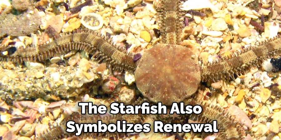 The Starfish Also  Symbolizes Renewal