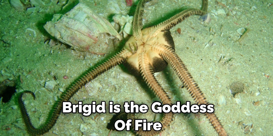  Brigid is the Goddess  Of Fire