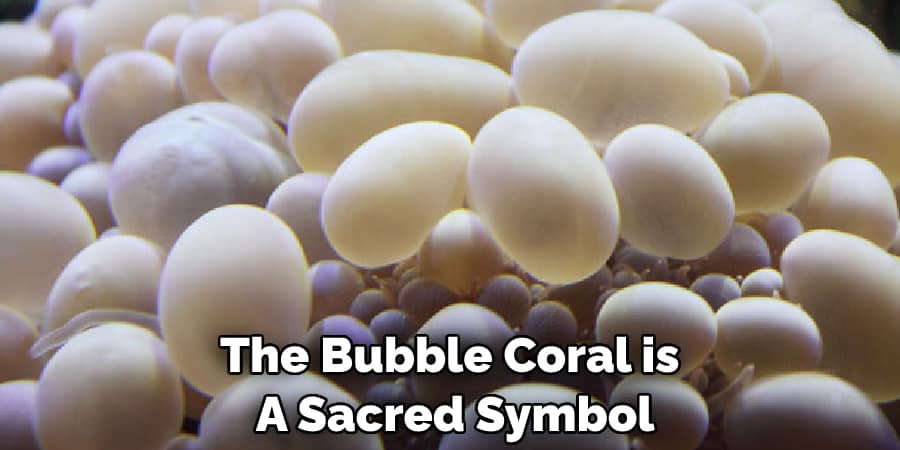The Bubble Coral is  A Sacred Symbol