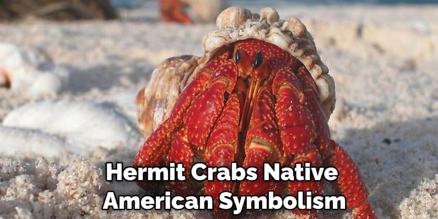 Hermit Crabs Native  American Symbolism
