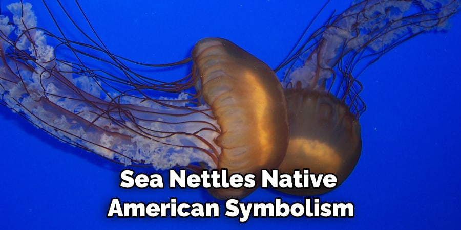 Sea Nettles Native  American Symbolism