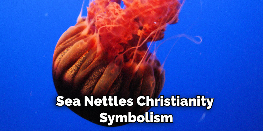 Sea Nettles Christianity  Symbolism