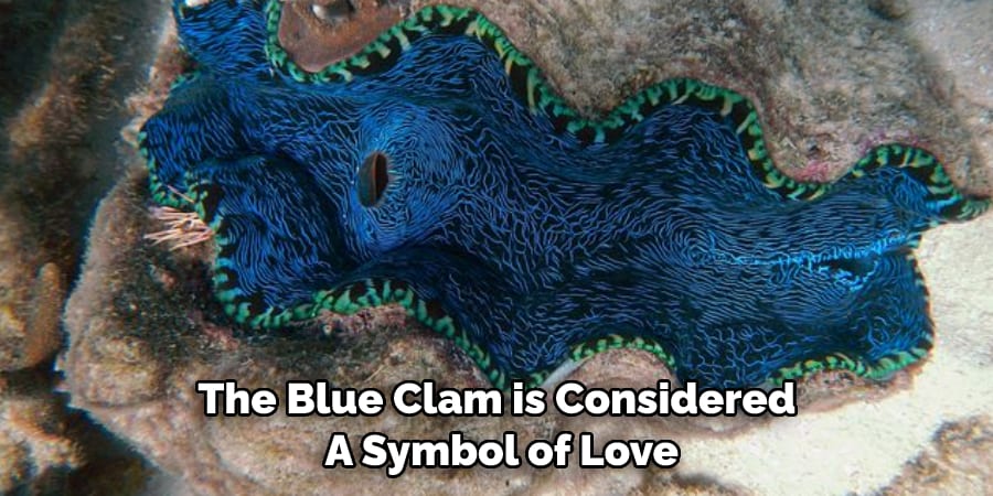 The Blue Clam is Considered  A Symbol of Love