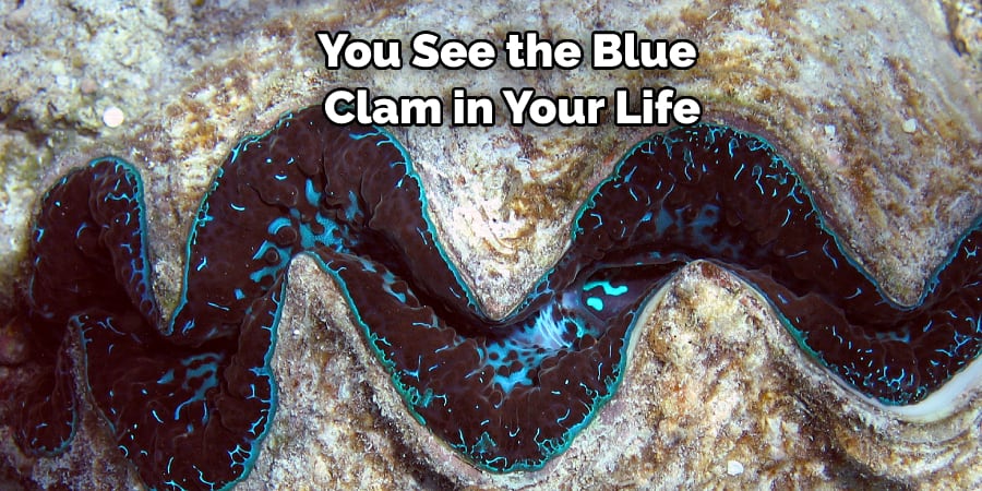 You See the Blue  Clam in Your Life