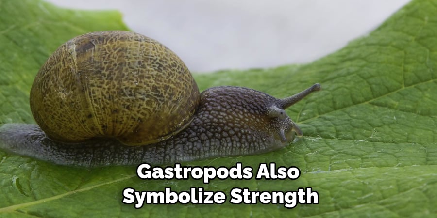 Gastropods Also  Symbolize Strength