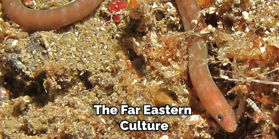 The Far Eastern  Culture