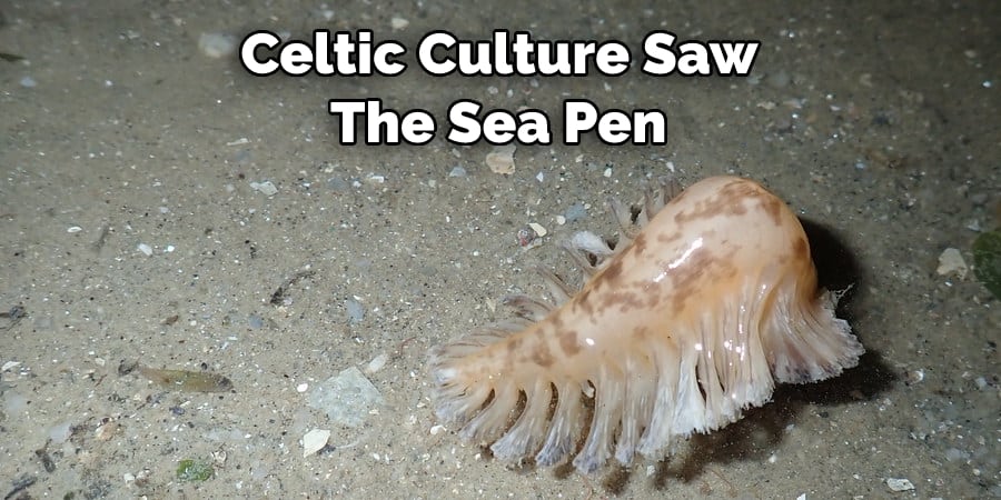 Celtic Culture Saw  The Sea Pen 
