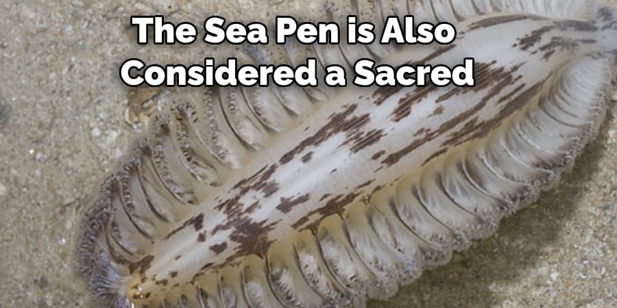 The Sea Pen is Also  Considered a Sacred