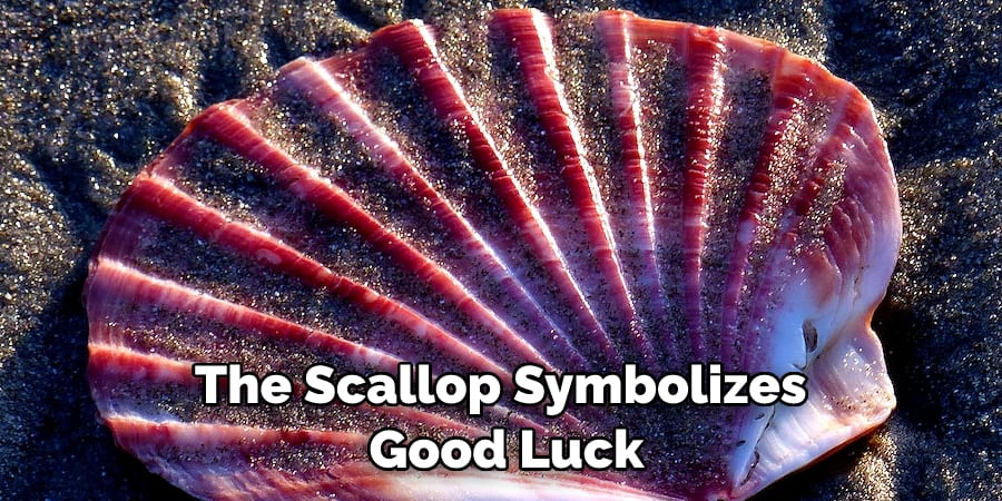 The Scallop Symbolizes  Good Luck