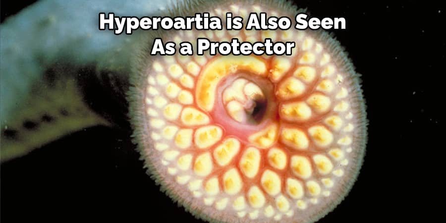 Hyperoartia is Also Seen  As a Protector 