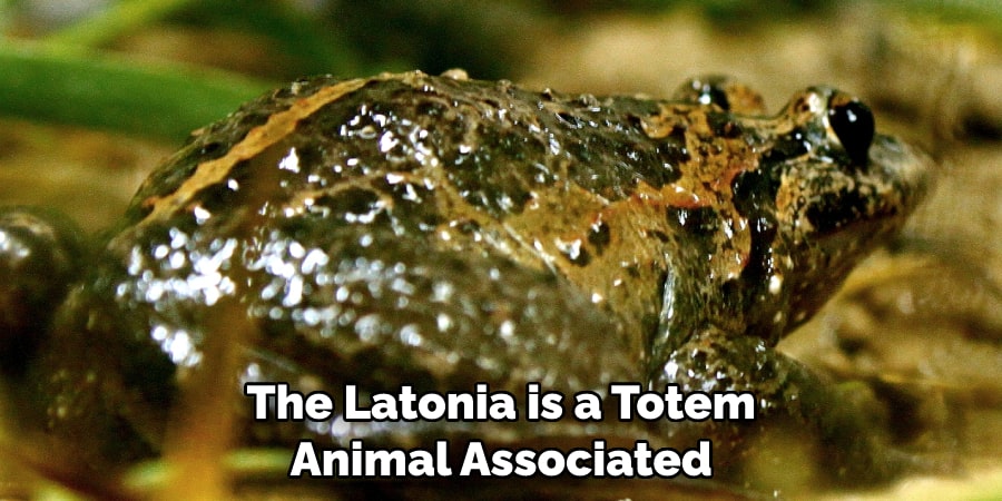 The Latonia is a Totem  Animal Associated 