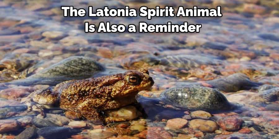 The Latonia Spirit Animal  Is Also a Reminder