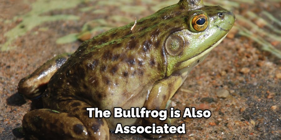 The Bullfrog is Also  Associated