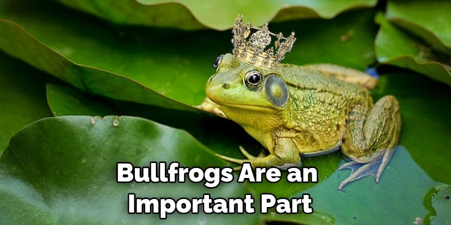 Bullfrogs Are an  Important Part