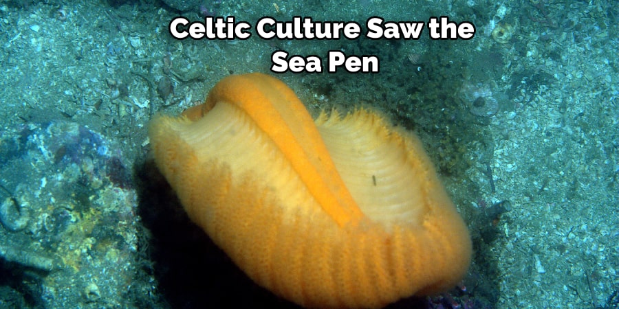 Celtic Culture Saw the  Sea Pen