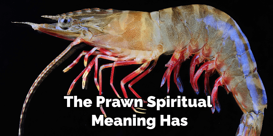 The Prawn Spiritual  Meaning Has