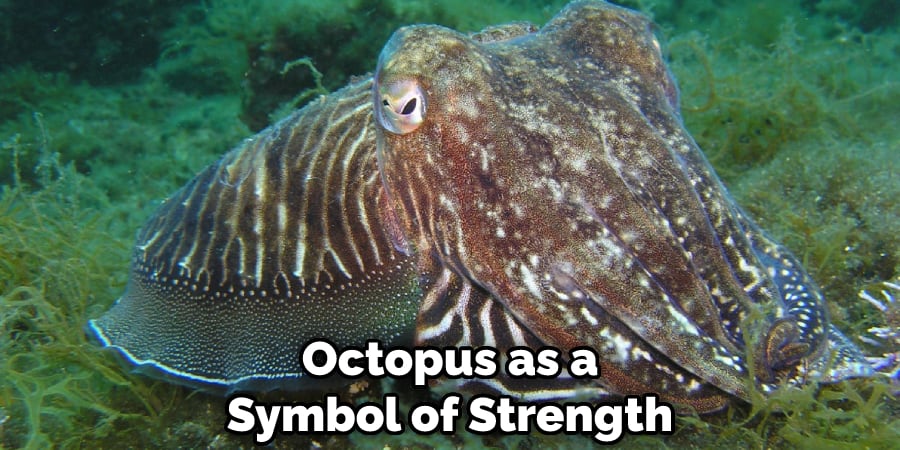 Octopus as a Symbol of Strength