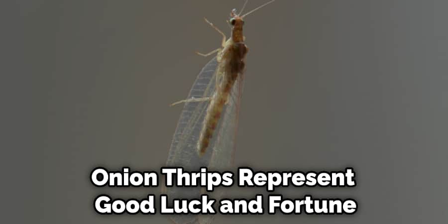 Onion Thrips Represent Good Luck and Fortune