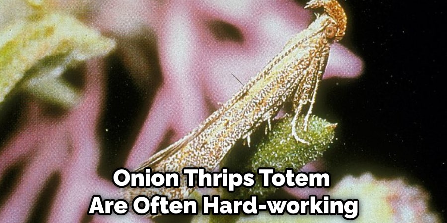Onion Thrips Totem Are Often Hard-working