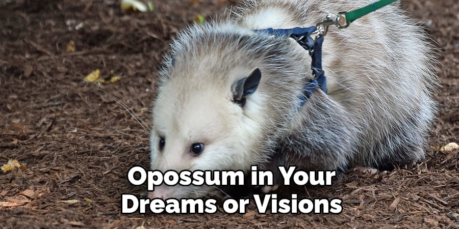 Opossum in Your  Dreams or Visions