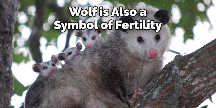 Opossum is Seen as a  Symbol of Fertility