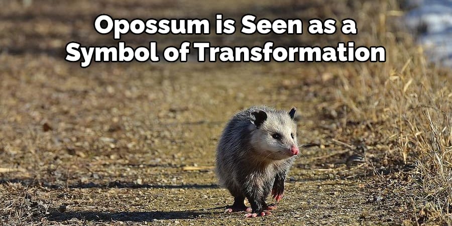 Opossum is Seen as a Symbol of Transformation