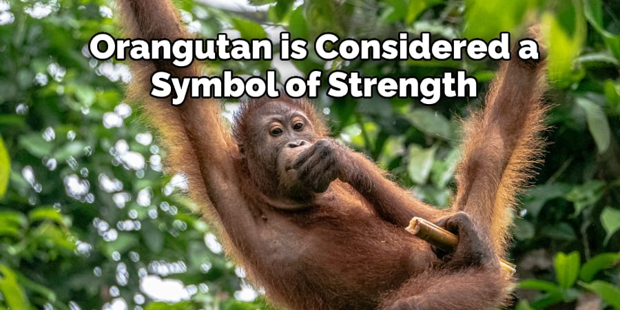 Orangutan is Considered a  Symbol of Strength