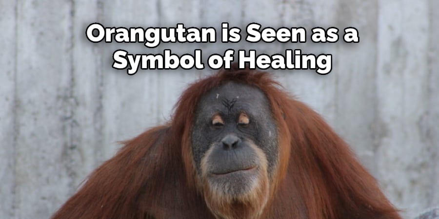 Orangutan is Seen as a  Symbol of Healing