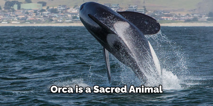 Orca is a Sacred Animal