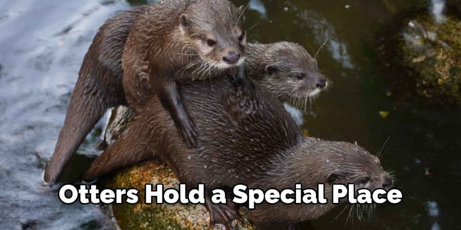 Otters Hold a Special Place
