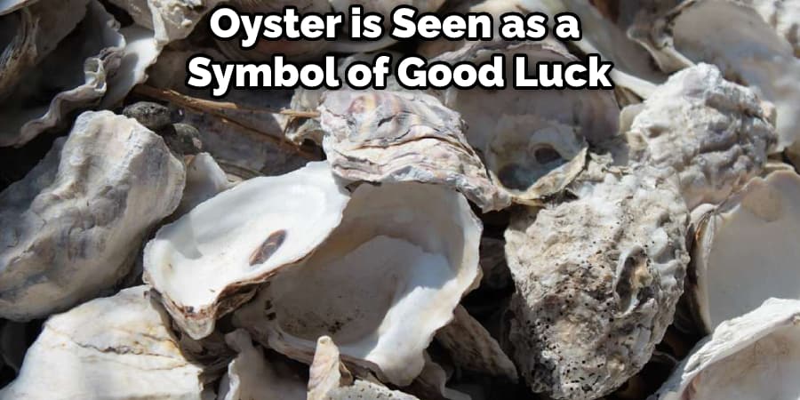 Oyster is Seen as a Symbol of Good Luck