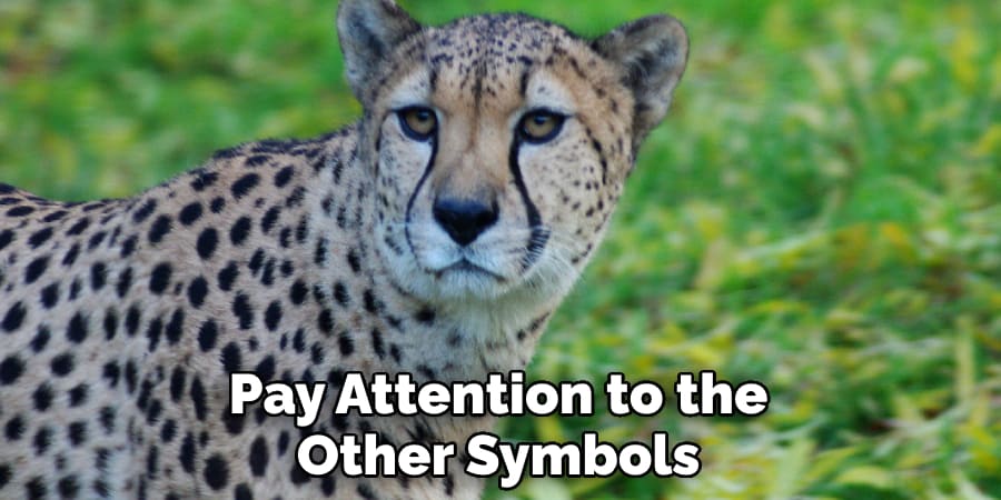 Pay Attention to the Other Symbols