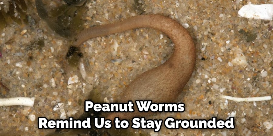 Peanut Worms Remind Us to Stay Grounded
