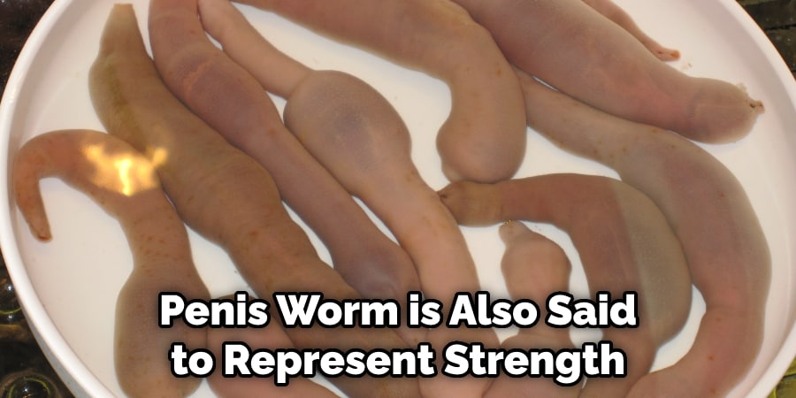 Penis Worm is Also Said to Represent Strength