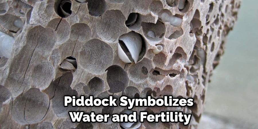 Piddock Symbolizes Water and Fertility