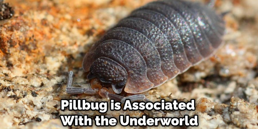 Pillbug is Associated With the Underworld
