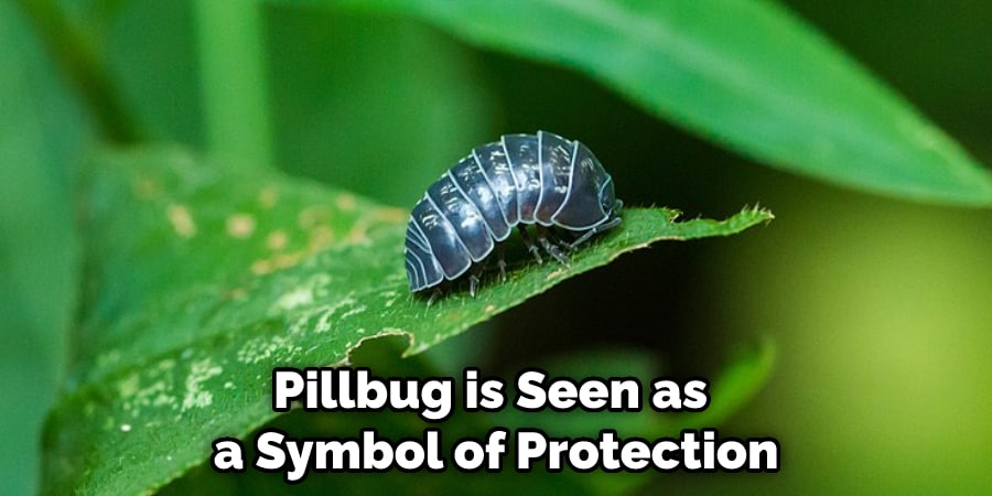 Pillbug is Seen as a Symbol of Protection