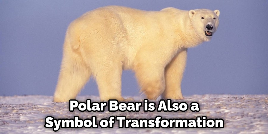 Polar Bear is Also a Symbol of Transformation