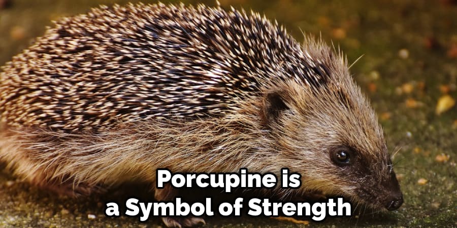 Porcupine is a Symbol of Strength