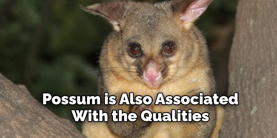 Possum is Also Associated  With the Qualities