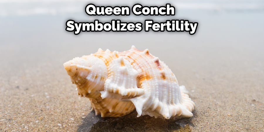 Queen Conch Symbolizes Fertility